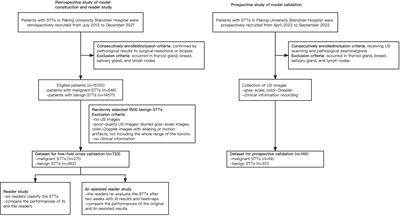 Deep learning driven diagnosis of malignant soft tissue tumors based on dual-modal ultrasound images and clinical indexes